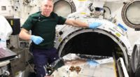 Se dio a conocer el lanzamiento a órbita desde la Estación Espacial Internacional (ISS) la misión de eliminación de basura espacial Remove Debris, liderada por el Centro Espacial de Surrey […]