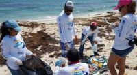 Delphinus, junto a 350 voluntarios, participó en dos limpiezas de playa como parte de las diversas acciones que se realizaron para conmemorar el Día Internacional de Limpieza de Playas y […]