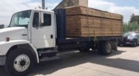 La Procuraduría Federal de Protección al Ambiente (PROFEPA) aseguró 12.07 m3 de materia prima forestal, un camión tipo Torton y puso a disposición del Ministerio Público Federal al chofer que […]