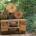 Con la reciente legislación para utilizar sólo madera certificada en la elaboración de insumos, el estado de Durango y Puebla, refrendaron su compromiso por conservar los bosques y sus servicios […]