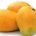 La producción de mango en México aumentó en 36 por ciento, al pasar de 1.3 a 1.8 millones de toneladas, por lo que se ha logrado comercializar en 27 destinos […]