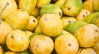 Especialistas del Laboratorio de Alimentos de la Universidad Autónoma de Nayarit (UAN) desarrollaron tres biopelículas como recubrimiento natural que tienen por objetivo alargar la vida de anaquel del mango niño. […]