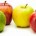 La Unión Agrícola Regional de Fruticultores del Estado de Chihuahua (UNIFRUT), informó que durante el presente ciclo 2015, se estima que la producción de manzanas en México alcanzará las 18 […]