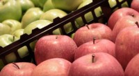 La Unión Agrícola Regional de Fruticultores del Estado de Chihuahua (UNIFRUT) anunció que interpondrá demandas por las vías penal y fiscal en contra de exportadores de manzanas de Estados Unidos […]