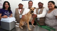 Dando impulso al eje de accesibilidad universal, el alcalde de Mérida, Yucatán, Mauricio Vila Dosal, inauguró el primer “Módulo Veterinario Municipal para Perros y Gatos” que tiene como fin apoyar […]