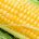 Se dio a conocer que hace diez años, la amenaza de liberar totalmente la importación del maíz y el frijol comprometida en el Tratado de Libre Comercio de América del […]