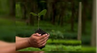 “Qué bueno que los mexicanos tenemos un Presidente ambientalista…”, dijo Juan José Guerra Abud, secretario del Medio Ambiente y Recursos Naturales, en la ceremonia del Día Mundial del Medio Ambiente, […]