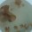 Científicos de la Escuela Nacional de Ciencias Biológicas (encb), del Instituto Politécnico Nacional (ipn), estudian la reproducción y fases de desarrollo de la medusa australiana, una especie que puede poner […]
