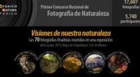 A partir de abril de 2015, las 70 imágenes semifinalistas del Primer Concurso Nacional de Fotografía de Naturaleza conformarán la muestra Visiones de Nuestra Naturaleza, a exhibirse durante abril, mayo […]