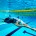 Tras vivir sus primeras semanas de entrenamiento en Florida, bajo la dirección de Gregg Troy, en el equipo Gators, la nadadora mexicana Fernanda González, integrante del Equipo Speedo Internacional, arribará a […]