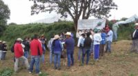 En la alcaldía de Milpa Alta, la zona más rural de la Ciudad de México (CDMX), un grupo de productores de nopal verdura y la organización Grupo Produce instaló la […]