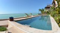 Holbox, es una pequeña isla, en el estado de Quintana Roo, al norte de la península de Yucatán. Si bien tiene una relativa dificultad para llegar a la misma, ello, […]