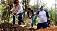 La Jefa Delegacional en Miguel Hidalgo, Xóchitl Gálvez Ruiz, puso en marcha el Programa de Mantenimiento Preventivo en Panteones, mediante el cual, una cuadrilla de 10 trabajadores realiza servicios de […]