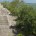 La zona de Calakmul, Campeche, además de poseer una extraordinaria riqueza cultural e histórica, esta antigua ciudad maya y forma parte de la selva más extensa y conservada de México […]