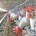 No se han registrado casos de gripe aviar en la entidad, sin embargo, existe blindaje para evitar el ingreso de productos contaminados; son seis puntos localizados en el Estado de […]