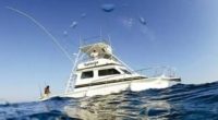 En días pasados se realizó en el puerto de Acapulco, Guerrero la 25ª edición del Campeonato Mundial de Pesca “Big Game Trolling”,  organizado por la Federación Mexicana de Pesca Deportiva en la […]