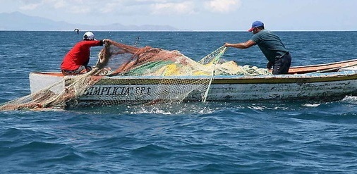 Mitad de la pesca en México es ilegal: Oceana