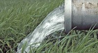 En 2005 en el país utilizábamos 16% del volumen disponible de agua, valor que se considera como un grado de presión «moderado» de los recursos hídricos. Sin embargo, ese valor […]