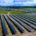La empresa Enel, a través de su filial renovable Enel Green Power México («EGPM»), inauguró la planta solar fotovoltaica Don José, de 238 megawatts (MW), ubicada en San Luis de […]