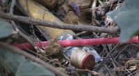 Con el propósito de reducir el uso de popotes y de plásticos en general, la Secretaría de Medio Ambiente y Recursos Naturales (Semarnat) lanzó la campaña “Sin popote está bien”, […]