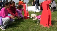 En el municipio de Cuautitlán Izcalli, se inauguró el primer Parque Purina, el cual está acondicionado para que las mascotas puedan realizar distintas actividades al aire libre y tengan diversos […]