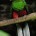 México.- El tercer aviario más grande del mundo, “El Nido”, ubicado en el municipio de Ixtapaluca, estado de México a poco más de dos horas del Distrito Federal, llevo a […]
