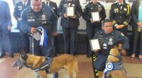  Elementos de las fuerzas armadas (Ejército, Marina, Policía Federal y Servicios de Protección Federal), instructores de unidades caninas, así como profesionales de seguridad privada, recibieron reconocimientos por su participación en […]