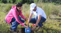 La Comisión Nacional Forestal (CONAFOR) y la empresa Televisión Azteca dieron inicio a la Jornada Nacional de Reforestación “Un Nuevo Bosque”, en donde se reforestarán 3 mil 582 hectáreas de […]