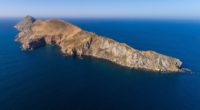 Un estudio realizado por 50 investigadores de 40 instituciones y organizaciones internacionales, como Grupo de Ecología y Conservación de Islas, A.C., identificó una serie de islas del mundo en las […]