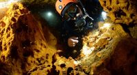 Al internarse en las profundidades de una galería que alcanza los 100 metros, dentro de una enorme cueva inundada del estado de Quintana Roo –en la península de Yucatán-, el […]