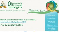   Se llevó a cabo la presentación de la 6ª Semana de la Diversidad Biológica que se realizará del 17 al 22 de mayo a nivel nacional con el objetivo […]