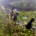 La Secretaría de Medio Ambiente y Recursos Naturales informa sobre los avances de la Estrategia Ríos Saludables: Bienestar de Comunidades Ribereñas y Conservación del Manatí, anunciada por el Gobierno de […]