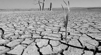 México celebró el Día Mundial del Agua 2013 (cuyo lema es: Cooperación en la Esfera del Agua) con excesivo calor en el norte del país, sequía y déficit en lluvias, […]