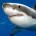 En la próxima Conferencia de vida silvestre de Naciones Unidas se analiza que es momento idóneo para establecer medidas globales para la protección de las diversas especies de tiburón, ello […]