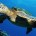 La postergada decisión del gobierno de Estados Unidos de decretar un embargo pesquero contra México, motivado por la mortandad de tortugas caguama en el Golfo de Ulloa, en Baja California […]