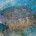   México recibe seis de las siete especies de tortugas marinas que existen en el mundo: Tortuga Carey (Eretmochelys imbricata), Tortuga Lora (Lepidochelys kempii), Golfina (Lepidochelys olivacea), Tortuga Caguama (Caretta […]