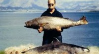 Redacción: Ana Herrera Conoce el impacto de la “cocaína del mar” El comercio ilegal del pez totoaba acaba con los últimos ejemplares de vaquita marina Un nuevo informe de la […]