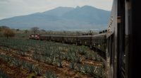 Jalisco, Méx.- (INS). El pasado 4 de febrero, el tren turístico “Jose Cuervo Express”, que va a municipio de Tequila, en el estado de Jalisco, celebró su 5º aniversario en […]