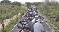   Hace algunos días salió un reportaje en el periódico español Este País sobre “La Bestia”, tren que atraviesa México de sur a norte, desde la frontera con Guatemala hasta […]