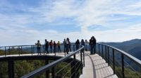 Autoridades de turismo del estado de Tamaulipas realizaron la presentación del nuevo mirador en Alta Cumbre, ubicado en el Parque Camino Real a Tula, a unos minutos de Ciudad Victoria, […]