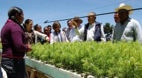 Michoacán, Méx.- En el municipio de Salvador Escalante como parte del Programa Nacional de Reforestación y Cosecha de Agua, se llevó a cabo la inauguración del vivero comunitario forestal Tzintzún, […]