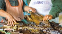En Querétaro para estas vacaciones se pude disfrutar de su gran diversidad culinaria y de la cual se pueden citar algunos ejemplos como es el: Pan de Pulque: como ícono […]