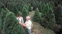 Con el objetivo de transformarlos en nuevos proyectos ecológicos, desde este 1 de enero comenzó la recolección de los árboles naturales de Navidad en los centros de acopio de la […]